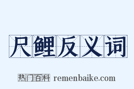 尺鲤反义词是什么意思的图片